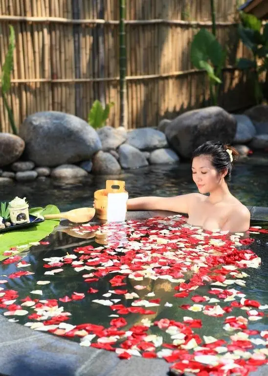 Баотин: Qixianling Baoting Liyuan Hot Spring Hotel