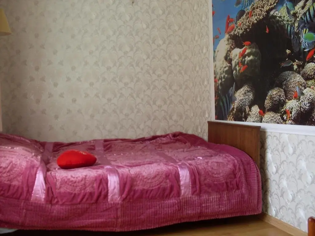 Калининград: Pregolsky Apartment