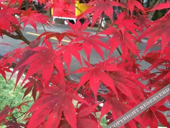 Бачжун: Guangwu Mountain Fumanlou Guest House