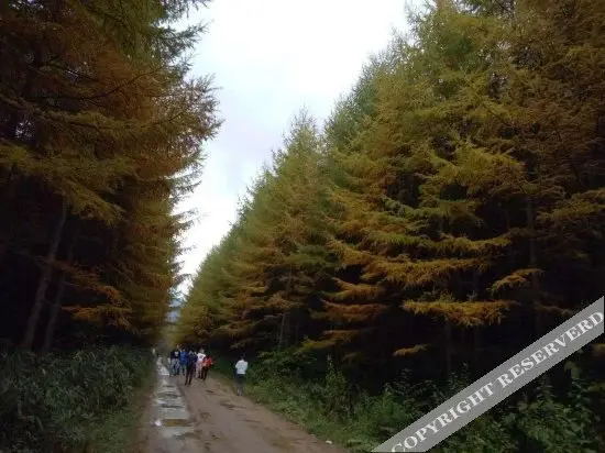 Бачжун: Guangwu Mountain Fumanlou Guest House