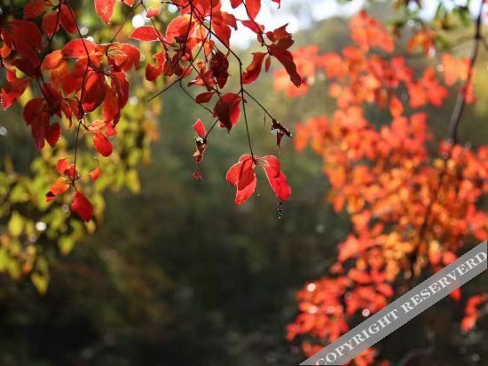 Бачжун: Guangwu Mountain Fumanlou Guest House