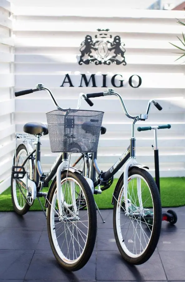Ольгинка: Amigo (Olginka)