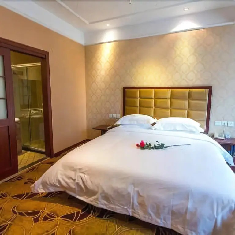 Мяньян: Xifei Business Hotel
