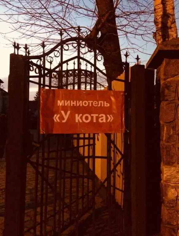 Калининград: U kota