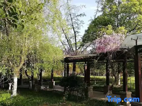 Fengtai International Hotel — фото 1