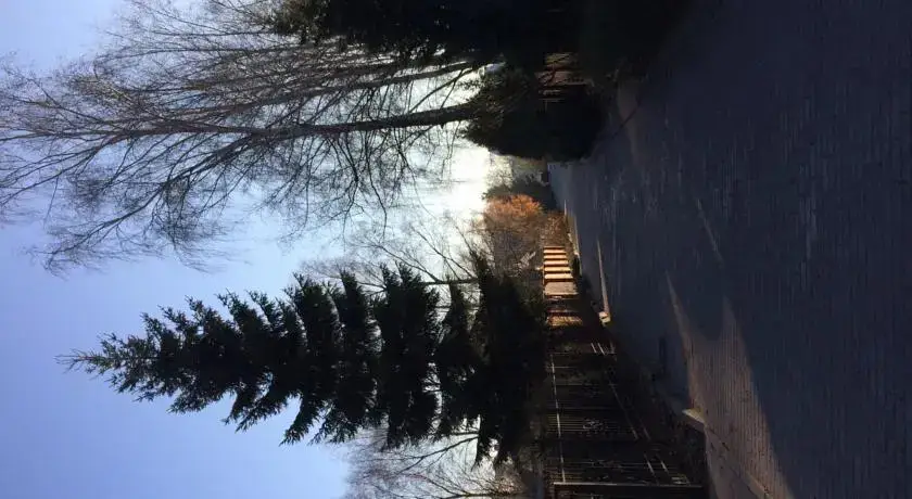 Светлогорск: На улице Архитектора Попова