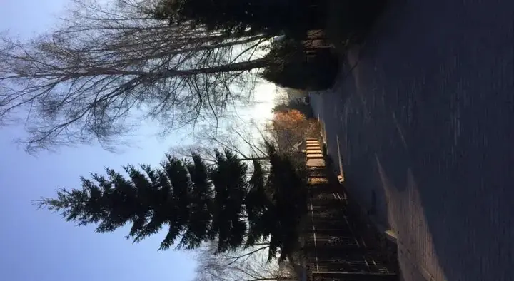 Светлогорск: На улице Архитектора Попова