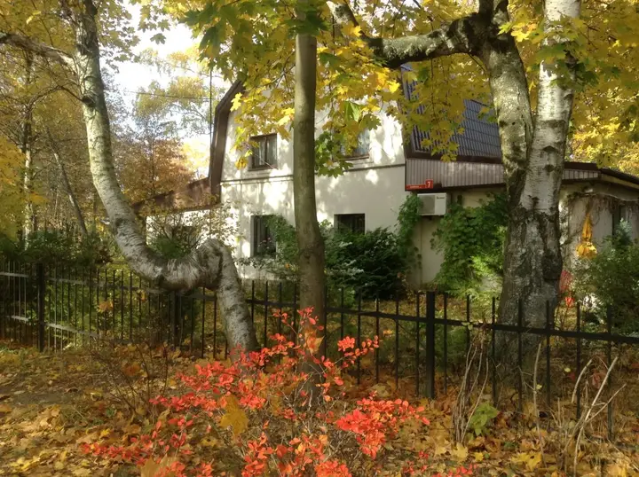 Светлогорск: Apartment Lenina