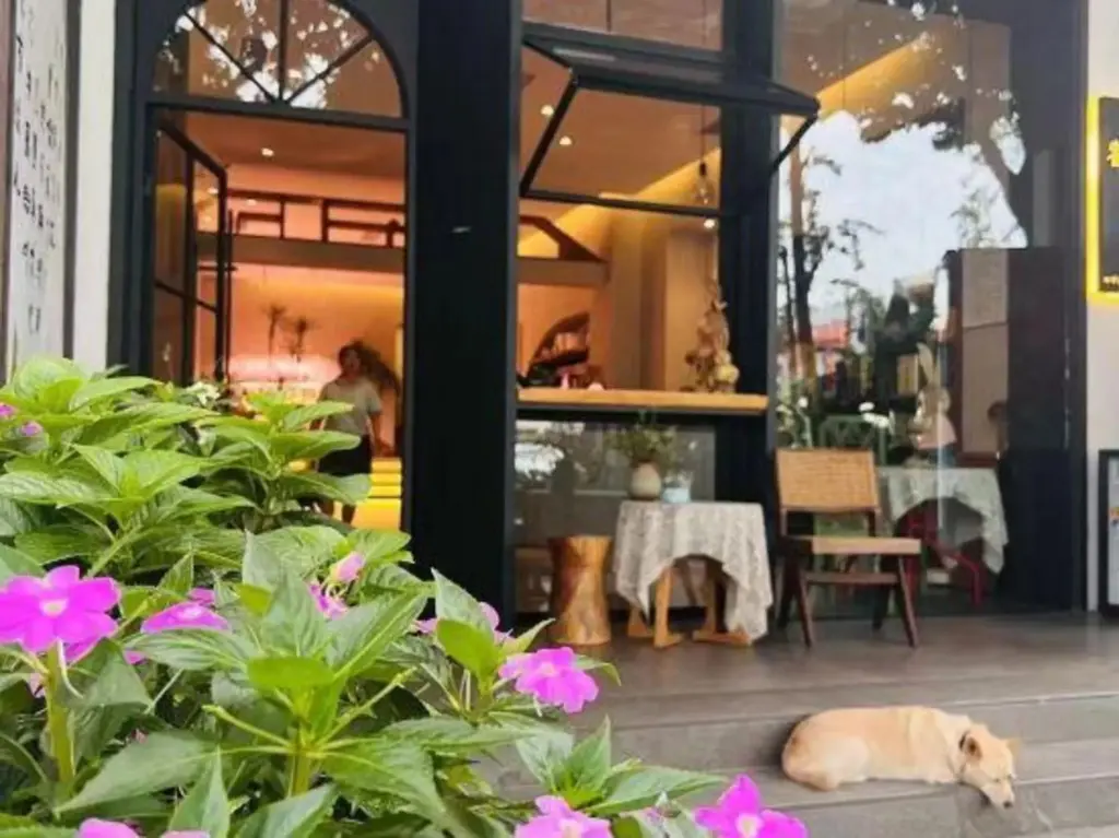 Чэнду: Nandu Hotel (Chengdu Renmin South Road Us Consulate)