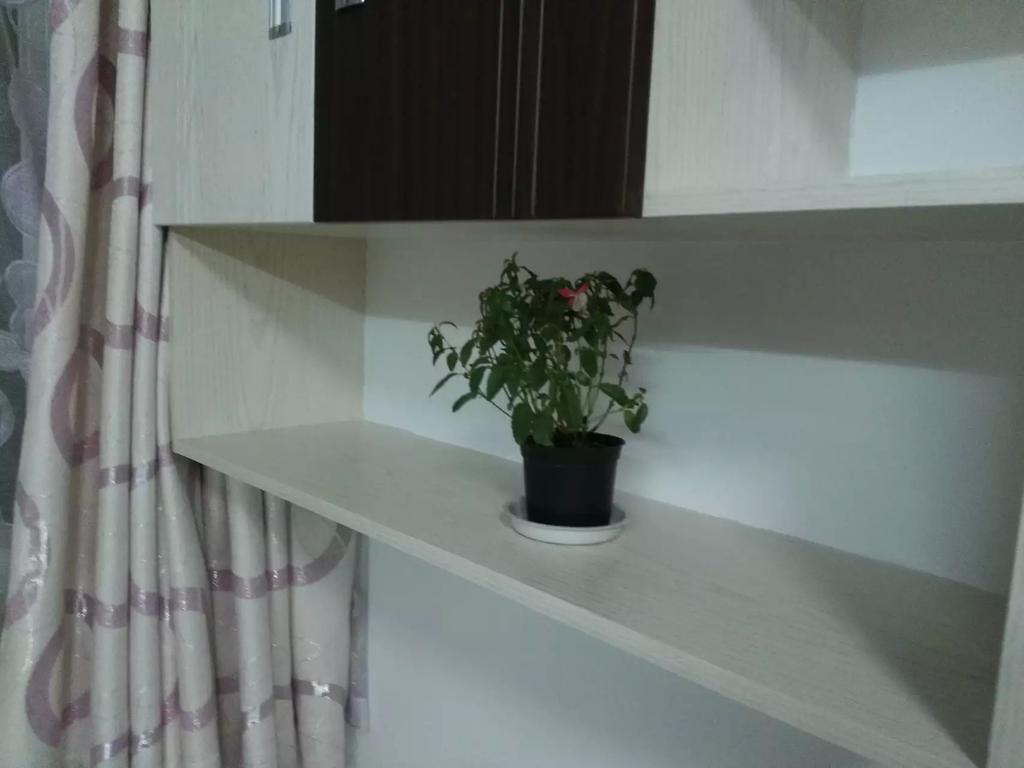 Шанхай: Nanjing Road Pedestrian Road Apartment