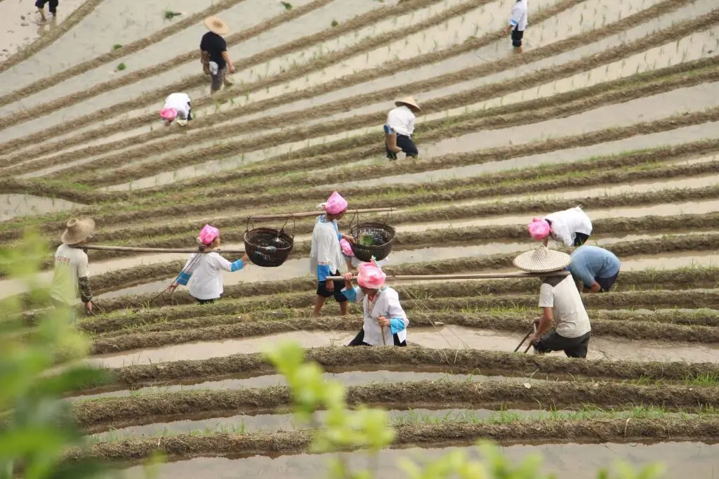 Longsheng: Travelling With Hotel Long Ji Ping An