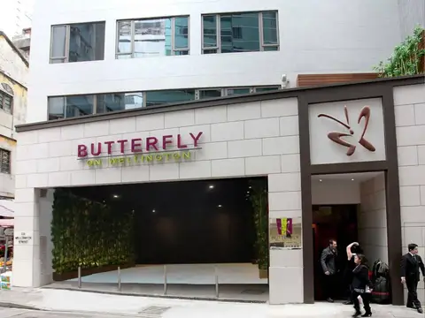 Butterfly on Wellington, Central — фото 1