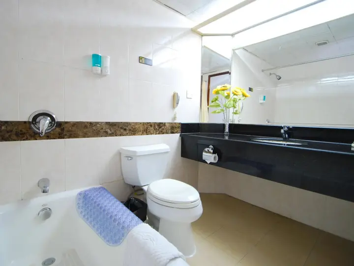 Гуанчжоу: Overseas Chinese Friendship Hotel