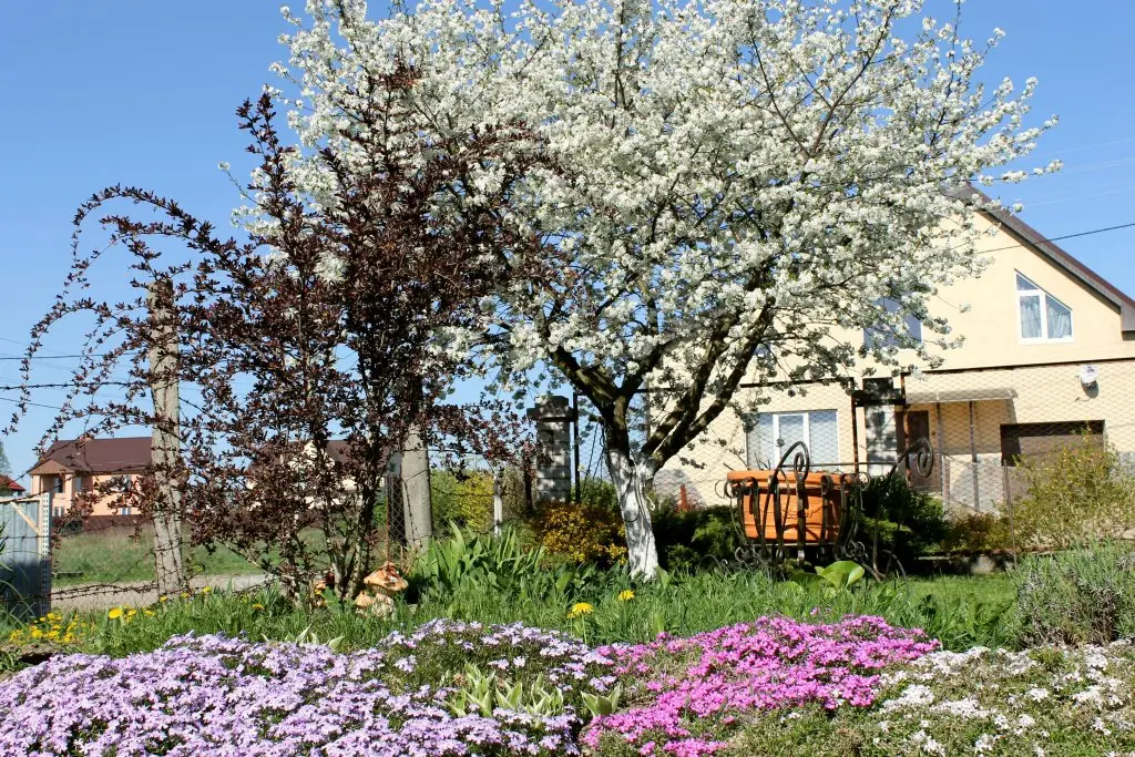 Гвардейск: Апартаменты Homestay Vera