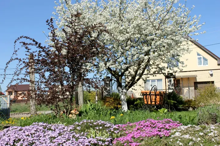 Гвардейск: Апартаменты Homestay Vera