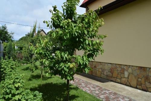 Рыбачий: Usadba v kamishakh