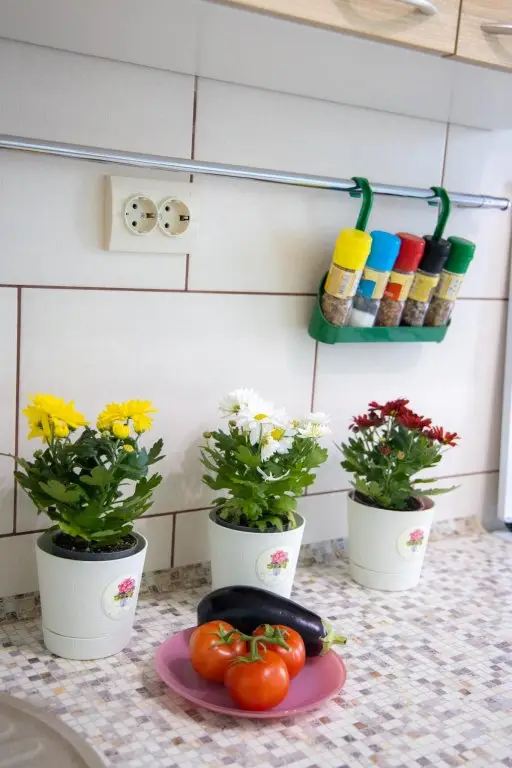 Калининград: LovelyHome 39 (ЛавлиХоум 39) на бульваре Краковский 4