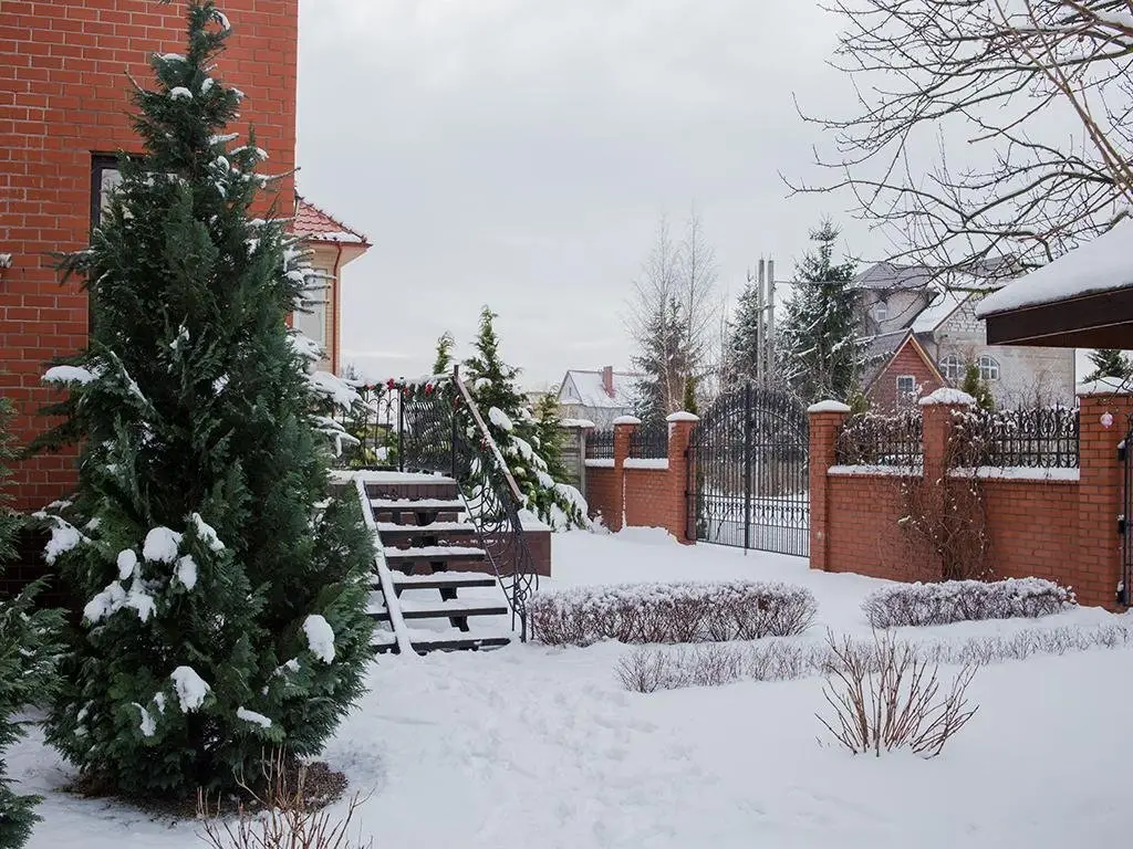 Калининград: Guest House Aleks