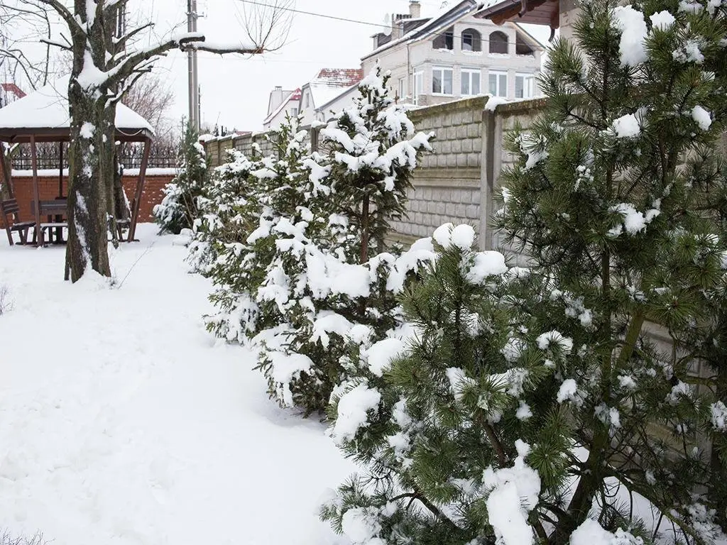 Калининград: Guest House Aleks