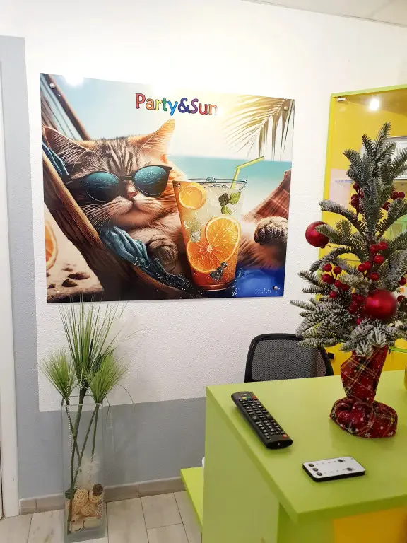 Зеленоградск: Хостел Party and Sun