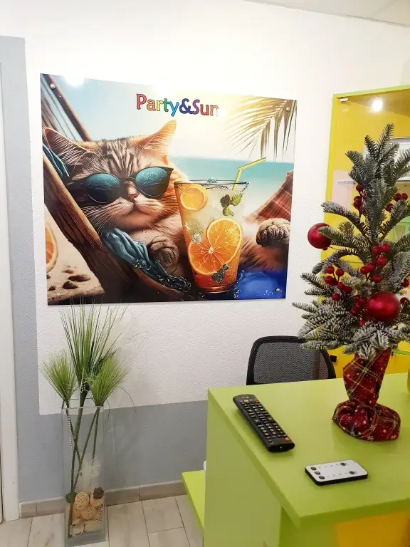 Зеленоградск: Хостел Party and Sun