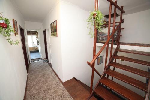 Зеленоградск: Guest House Zamok