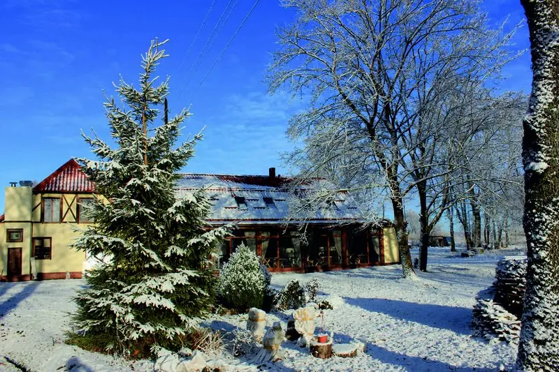 Луговое: Guest House Waldhausen