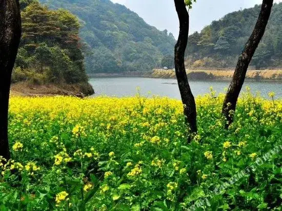 Хуаншань: Huangshan Bed and Breakfast