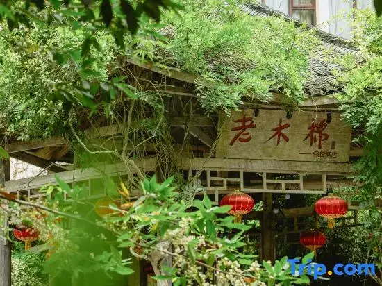 Чунцзо: Old Kapok Hotel