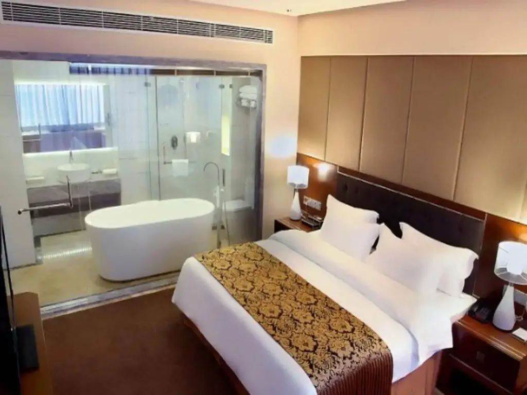 Шэньчжэнь: Shenzhen Star Park Hotel