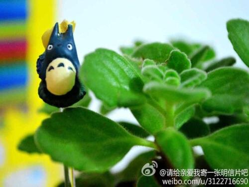 Чжухай: Zhuhai Journey House Hostel
