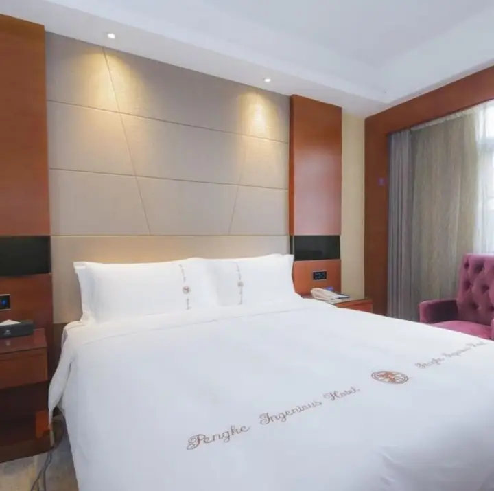 Шэньчжэнь: Shenzhen Pengker Boutique Hotel