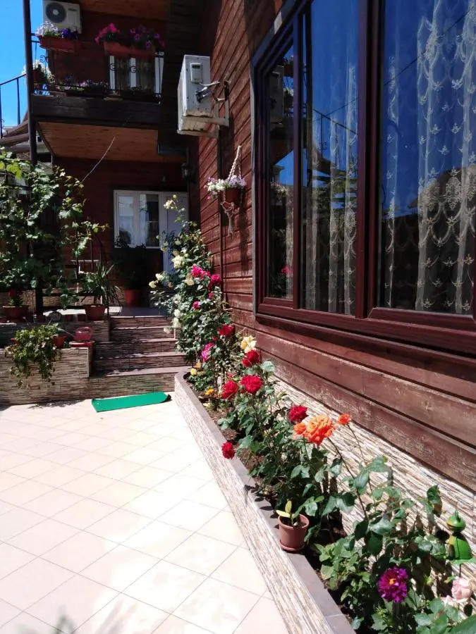 Сочи: Guest House Letniy