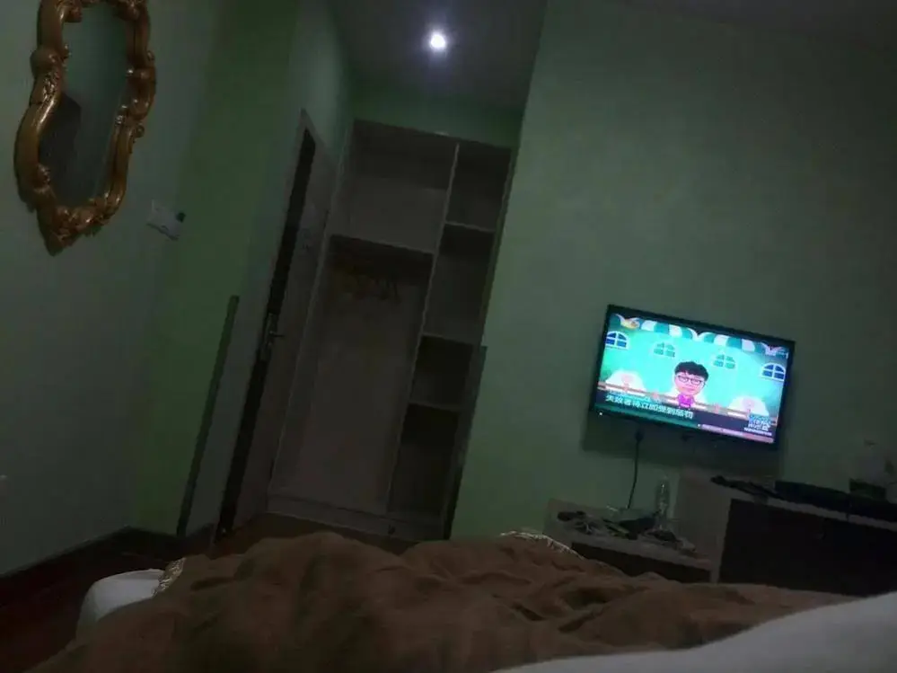 Шанхай: Shanghai Chenyi Hotel