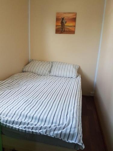 Коломна: Camping U Kremlya