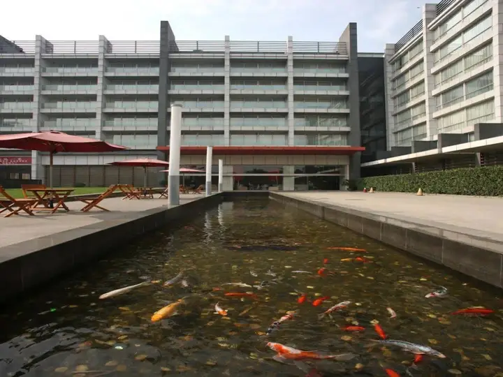 Уси: Hotel Kapok