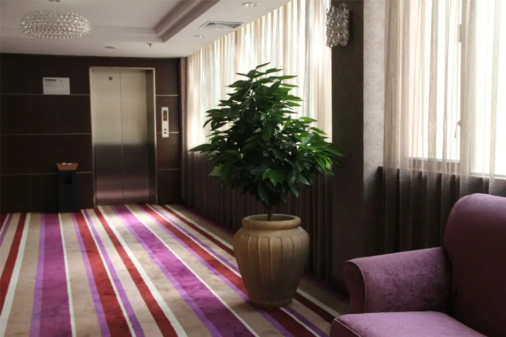 Шэньчжэнь: Honlux Apartment