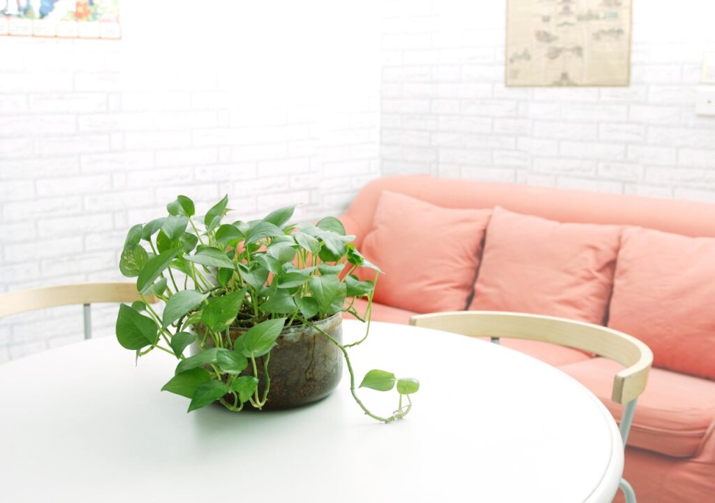 Пекин: Discovery Youth Hostel Beijing