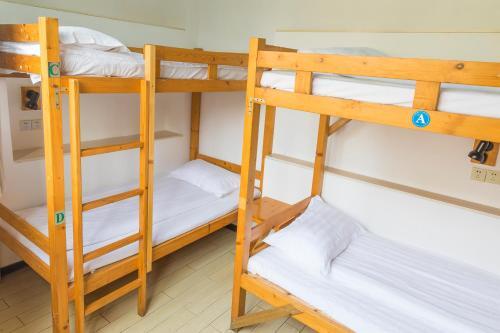 Шанхай: Shanghai Blue Mountain Youth Hostel (Luwan)