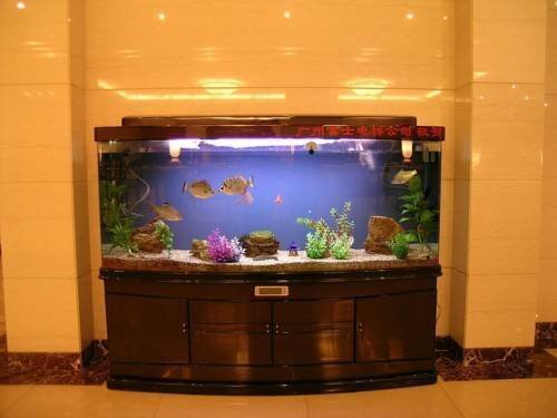 Хух-Хото: Hohhot Golden Sun Hotel