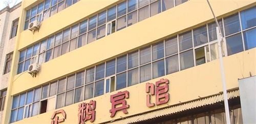 Сямынь: Penguin Hotel Zhongshan - Xiamen