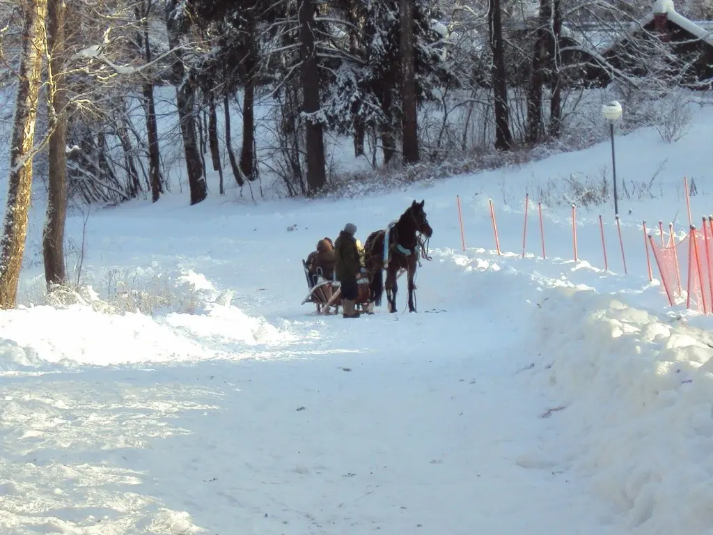 Жучки: Gostinichniy kompleks Abramtsevo