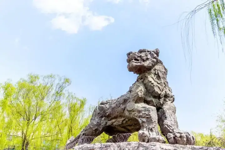 Пекин: Beijing Ruyi Business Hotel