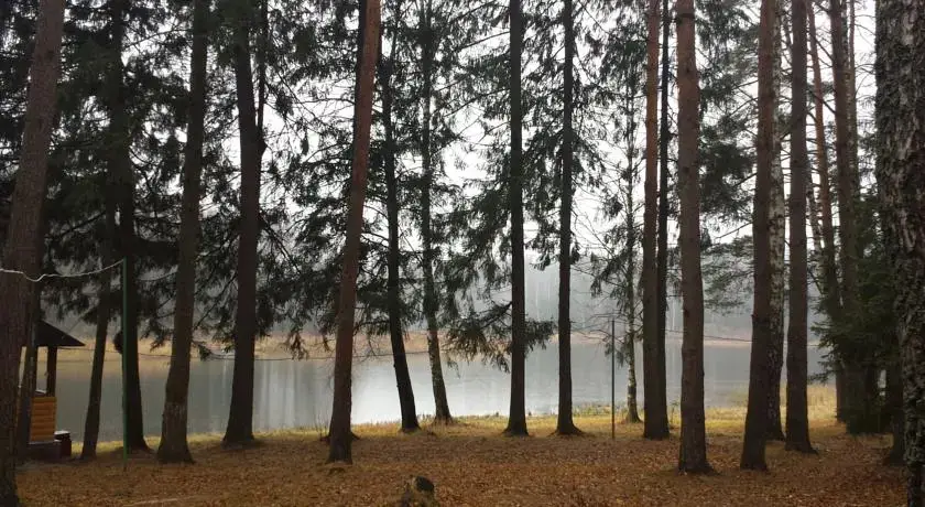 Трусово: База отдыха Флора Парк