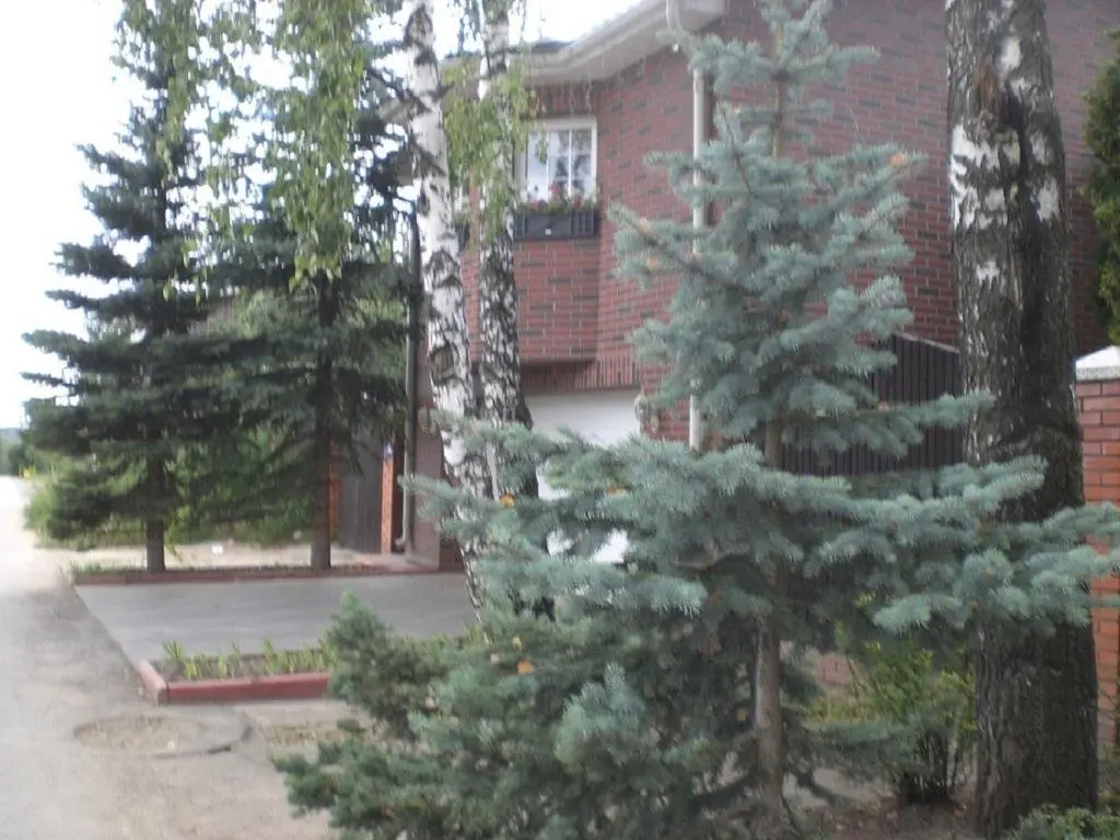 Химки: Cottage on Lesnaya 3