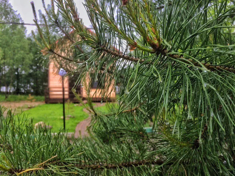 Медвежьи Озера: Парк-отель Медвежьи Озёра