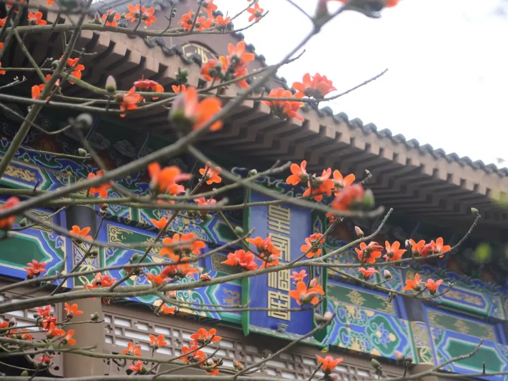 Хайкоу: Eadry Royal Garden Hotel Haikou