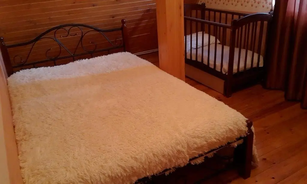 Клин: Country House Orlinoye Gnezdo