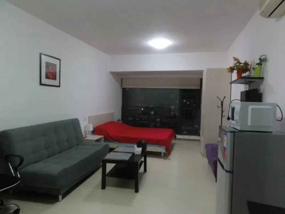 Шэньчжэнь: Homehunter Short Term Apartment