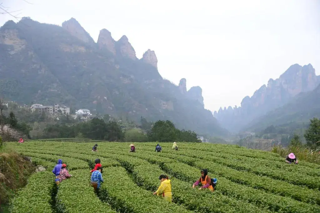 Чжанцзяцзе: Tianmen Hotel